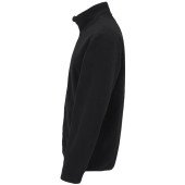 Куртка флісова чоловіча D.A.D Wallis, колір чорний - 139546990L