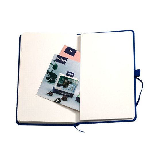 Блокнот в клітинку А5 Berganote Soft, тверда обкладинка, колір синій - 50040238-03