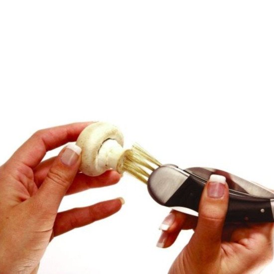 Ніж складаний Schwarzwolf Pilz, колір коричневий - F1900200SA3