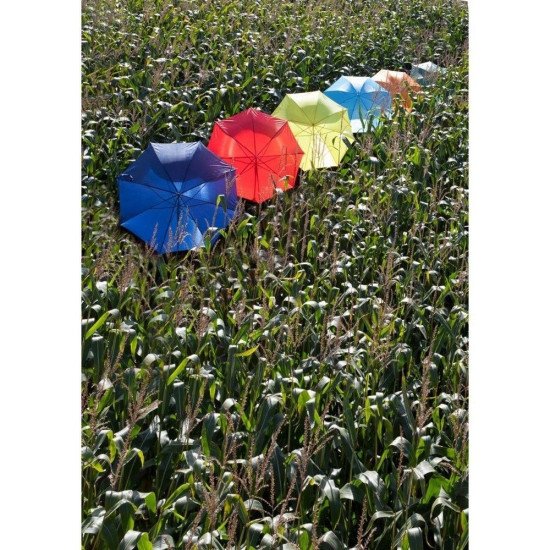 Парасоля-тростина автоматична Voyager Automat, колір жовтий - V4221-08