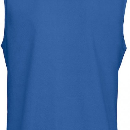 Жилет жіночий D.A.D Melton Vest, колір яскраво-синій - 139043767M