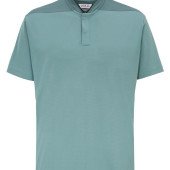 Футболка поло чоловіча D.A.D Bendigo, колір запорошений зелений - 1340463663XL