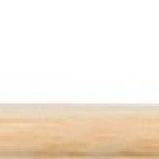 Зубна щітка Voyager в коробці, колір натуральний - V8888-17 Зубна щітка Voyager в коробці, колір натуральний - V8888-17