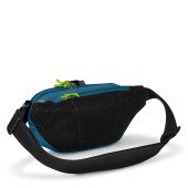 Сумка на пояс антизлодій Pacsafe Eco Anti-Theft Waist Pack, колір синій - 41104530