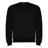 Реглан Clasica 280 ТМ Roly