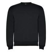 Реглан Clasica 280 ТМ Roly