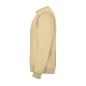 Реглан Clasica 280 ТМ Roly