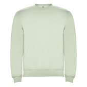 Реглан Clasica 280 ТМ Roly