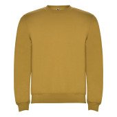 Реглан Clasica 280 ТМ Roly