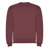 Реглан Clasica 280 ТМ Roly