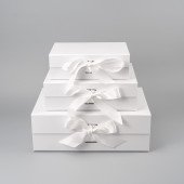 Коробка подарункова Surprise3, ТМ Totobi