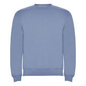 Реглан Clasica 280 ТМ Roly