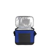 Термосумка Coolerbag S, TM Discover