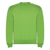 Реглан Clasica 280 ТМ Roly