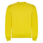 Реглан Clasica 280 ТМ Roly