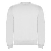 Реглан Clasica 280 ТМ Roly